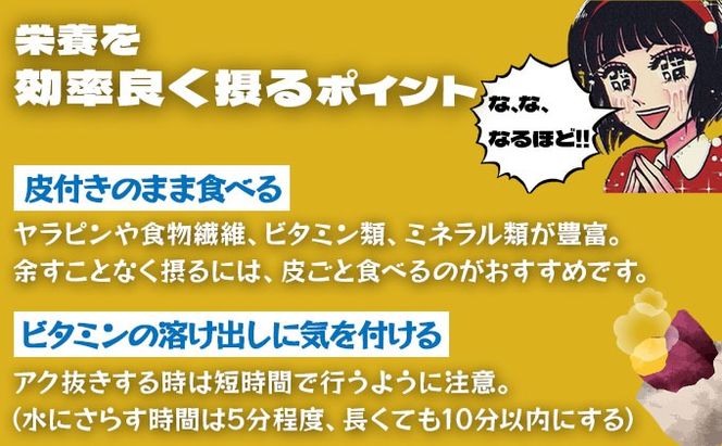 北海道 伊達 さつまいも シルクスイート 5kg 熟成 高糖度 サツマイモ 芋 甘い スイートヤバ芋 産地直送