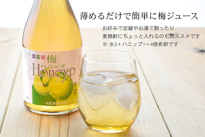 希釈用梅ドリンクとはちみつ梅干のセット【prm023B】