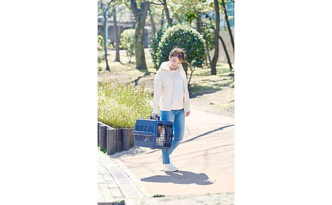 エアトラベルキャリー ATC-530 ネイビー アイリスオーヤマ 雑貨 日用品 移動 旅行 便利 サイズ 超小型犬 大型犬 ペットハウス 開閉可能 取り外し フード 水銀イオン 配合 雑菌 増殖 