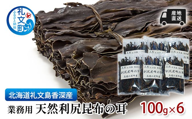 北海道 礼文島 香深産 利尻昆布の耳 100g×6袋［高橋の昆布屋］【 昆布 昆布の耳 だし昆布 出汁こんぶ  利尻昆布 香深産 希少 海藻 和食 旨味 】