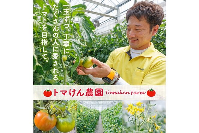 ＼全国トマト選手権 金賞＆特別賞受賞 ／＜先行予約受付中！2027年2～5月の間に発送予定＞トマけんのフルーツトマト(計1kg) フルーツトマト 高糖度 トマト サラダ 野菜 旬野菜 冷蔵 門川町産 宮崎県 門川町 【TK-01】【トマけん農園】