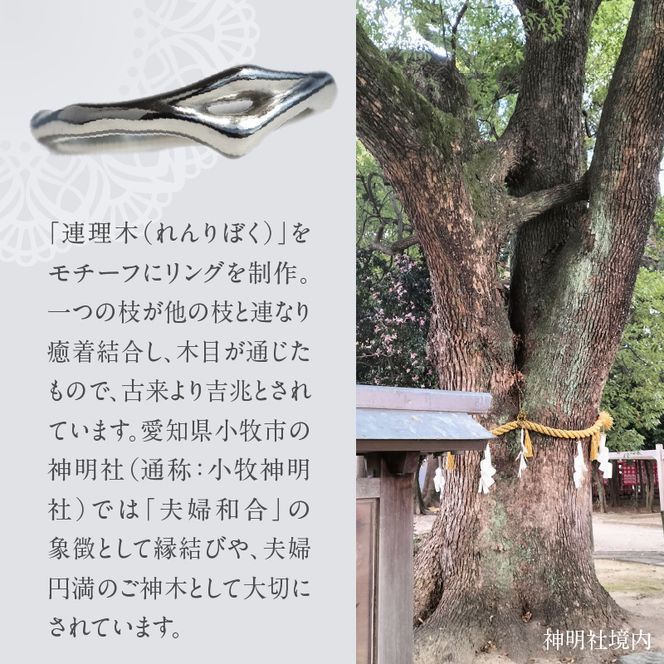 SV連理木リング〈1.8mm幅〉 ［016K28］ SV 連理木 リング 選べる サイズ 6号 ～ 15号 1.8mm 幅 連理木モチーフ SV925 スターリングシルバー シルバー 鏡面仕上げ ファッションリング ペアリング ジュエリー アクセサリー 夫婦和合 縁結び 夫婦円満 愛知県 小牧市 送料無料