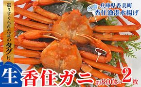 【香住ガニ（生）大 タグ付き 約800g×2枚 冷蔵】【令和8年11月以降発送予定】カニ 甘み 強い かに カニ 蟹 香住がに 紅ずわいがに ベニズワイガニ 脚 爪 身 ほぐし むき身 かにすき 鍋 大人気 ふるさと納税 おすすめ 兵庫 香美 香住 但馬漁業 遊魚館 03-07