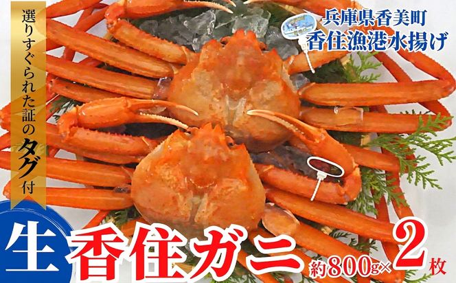 【香住ガニ（生）大 タグ付き 約800g×2枚 冷蔵】【令和8年11月以降発送予定】カニ 甘み 強い かに カニ 蟹 香住がに 紅ずわいがに ベニズワイガニ 脚 爪 身 ほぐし むき身 かにすき 鍋 大人気 ふるさと納税 おすすめ 兵庫 香美 香住 但馬漁業 遊魚館 03-07