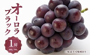 ぶどう 2026年 先行予約 オーロラ ブラック 1房 600g～700g 大粒 種無し ブドウ 葡萄 岡山県 赤磐市産 国産 フルーツ 果物 ギフト MAKANAファーマーズ 甘みが強い 香り高い デザート 