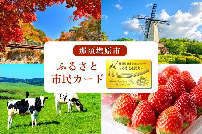 yȖ،ߐ{szns056-001@ߐ{sӂ邳ƎsJ[h