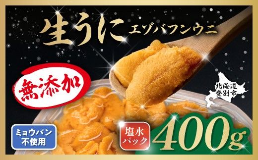 うに 無添加 極上 エゾバフンウニ 生うに 塩水パック 400g 塩水 ミョウバン不使用 | 雲丹 ウニ 雲丹 高級 生ウニ 海産物 海鮮 米 と ウニ丼 うに丼 人気 ふるさと納税 北海道 登別市