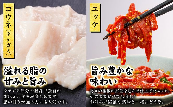 国産 馬刺し 5種 計230g （上赤身50g、ロース50g、中トロ50g、コウネ30g、ユッケ50g）馬肉 馬 肉刺し 生食 刺身 冷凍 郷土料理 熊本県 八代市