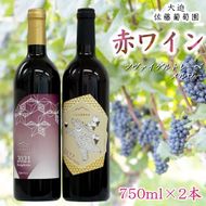 大迫佐藤葡萄園赤ワイン2本セット（ツヴァイゲルト・メルロー） 【649】