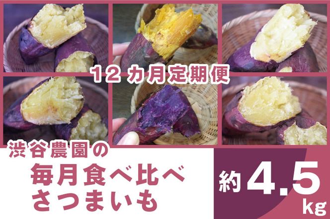【12ヶ月定期便】渋谷農園の毎月食べ比べさつまいも 約4.5kg｜さつまいも サツマイモ さつま芋 お芋 食べ比べ 定期便 毎月 紅はるか きみまろこ シルクスイート 栗かぐや 渋谷農園 さつまいも博 茨城県産 茨城県 行方市(BZ-21)