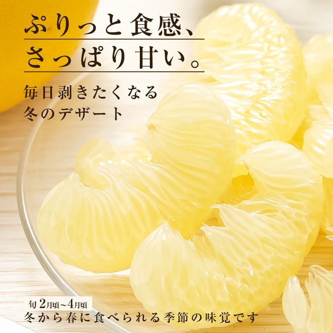 先行予約 文旦 家庭用 約1kg 土佐文旦 2L～3L 2玉 高知 ブンタン ぶんたん 旬 柑橘 かんきつ 柑橘類 フルーツ 果物 くだもの デザート おやつ 爽やか 甘い スイーツ 美味しい おいしい 常温