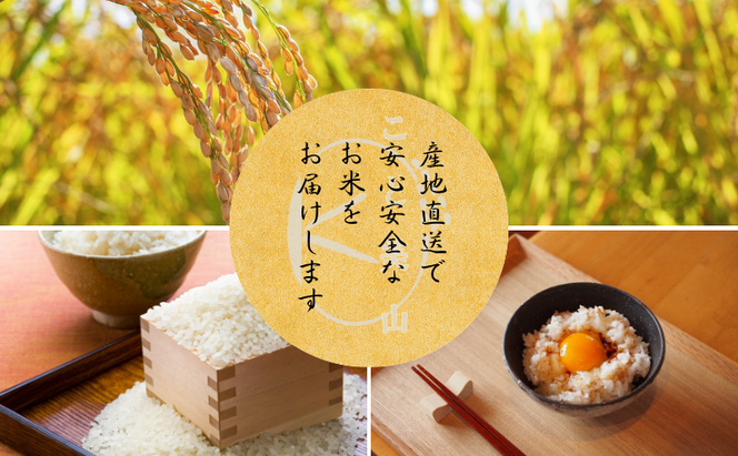 【定期便3回】令和7年産 にじのきらめき 10kg 美山町産 こと美山米