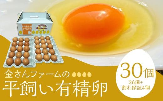 yÖszyLz30i26+ۏ4j ܂  ʎq {  L