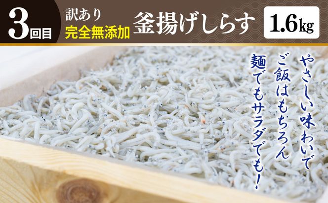 099Z290 店主セレクト ハンバーグ／しらす 食べ比べ 定期便 全3回【毎月配送コース】