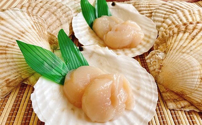 ☆使い道は様々☆ホタテの貝殻　15枚前後　 ほたて インテリア ハンドメイド 