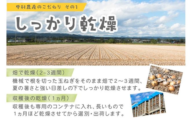 【予約：2026年10月から順次発送】北海道北見産 玉ねぎ 15kg ( 野菜 たまねぎ タマネギ 玉葱 玉ねぎ 甘い Lサイズ 15キロ 玉ねぎ生産量日本一 )【002-0010-2026】