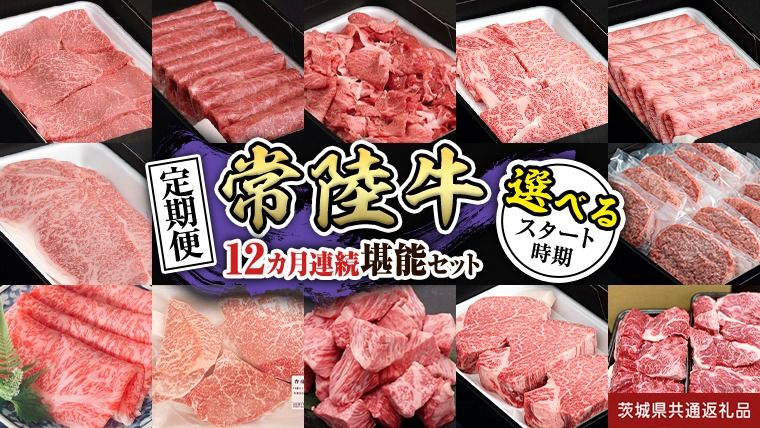 ＼ 選べるスタート月 / [定期便][全12回]『常陸牛』人気12か月堪能セット(12か月連続でお届け) お肉 肉 牛肉 ステーキ ハンバーグ サーロイン 赤身 切り落とし 霜降り カルビ (茨城県共通返礼品) [BX20-111-NT]