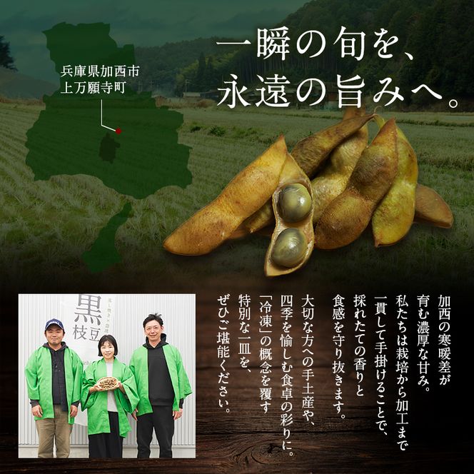 丹波黒枝豆(冷凍)3P