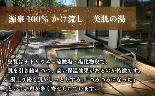 ＜光林荘いこいの湯入浴券 11枚セット＞乙部温泉郷 天然温泉 源泉かけ流し 源泉100％ 温泉 北海道 乙部町 くつろぎ