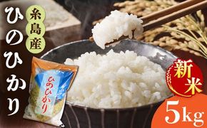 ＼ 令和6年産新米 ／ 糸島産 ひのひかり 5kg 糸島市 / 三島商店 [AIM003] 米 白米