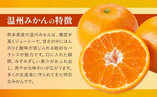 温州みかん 選べる 内容量 約3kg～約10kg 日本フルーツ株式会社 熊本県 長洲町 《10月中旬-2月下旬頃出荷予定（土日祝除く）》 デコポン 果物 秀品 フルーツ スイーツ デザート ギフト ご贈答---sn_nfum_k102_25_7500_3kg---