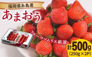 [先行予約]糸島産[冬] あまおう 2パック [2024年12月上旬以降順次発送] [糸島][南国フルーツ株式会社]