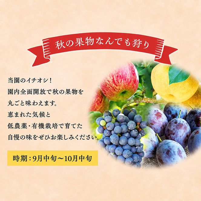 妹尾観光農園 フルーツ狩りチケット3000円 割引 チケット クーポン 利用券 フルーツ 旅行 体験 農園 北海道 仁木町 [フルーツショップ妹尾観光農園]