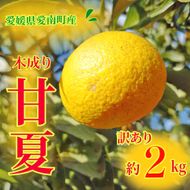 訳あり 甘夏 2kg 先行予約 柑橘 かんきつ 蜜柑 愛媛 みかん 温州 みかん あまなつ 国産 こくさん mikan 果物 くだもの フルーツ デザート ジュース 果実 果肉 果汁 甘い ジューシー おいしい 濃厚 産地 直送 産直 特産品 河内晩柑 愛媛県 愛南町 愛南町青果市場 