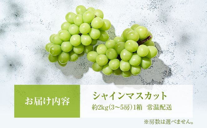 シャインマスカット 約2kg 3～5房 ぶどう 葡萄 フルーツ 岡山 高梁市産 2026年 先行予約 果物類 果物 