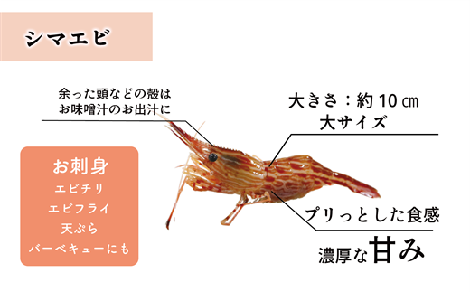 ＜ボタンエビ・シマエビ(冷凍) 1kg(各500g)＞北海道乙部町産 産地直送 阿部水産