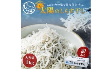 「太陽のしらす干し」 訳あり しらす干し 1kg 愛知県産 箱入　冷凍