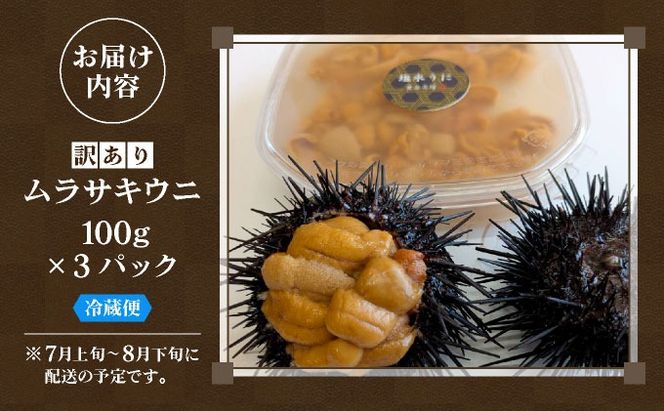 ＜先行予約＞ 北海道産 ムラサキウニ（訳あり）300g【ogm-041】生うに 塩水うに ミョウバン不使用 海鮮 訳あり 国産 北海道 伊達 ふるさと納税