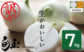 【5/31まで受付】(2027年発送) ≪『満天☆青空レストラン』で紹介されました！≫ 訳あり 新玉ねぎ 生がおいしい 神重農産のブランド玉ねぎ「旬玉」7kg ブランド玉ねぎ 玉ねぎ 国産 愛知県産 野菜 やさい 農家直送 畑直送 旬 期間限定 たまねぎ 先行予約 旬 特産 高評価 高リピート 人気 H105-245