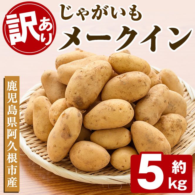 ＜先行予約受付中！2026年5月下旬以降順次発送予定＞訳あり！じゃがいも「メークイン」(約5kg) じゃがいも ジャガイモ 芋 国産 野菜 期間限定 数量限定【古田果樹園】akn093-01