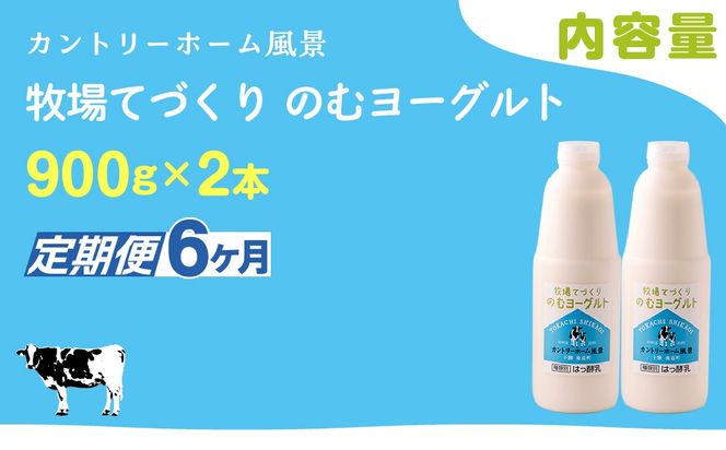 【定期6ヶ月】のむヨーグルト 900g ×2 SKB033
