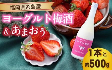 [先行予約][冬]ヨーグルト梅酒720ml ×あまおう 約250g×2パック [2025年12月上旬以降順次発送]糸島市 / 南国フルーツ株式会社 [AIK012] 梅酒 ヨーグルト お酒 あまおう いちご 苺 イチゴ