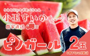 【 先行予約 2026年6月下旬以降発送 】八千代町産 小玉スイカ ピノガール 1箱（2玉入） タネが小さい すいか [SF005ya]