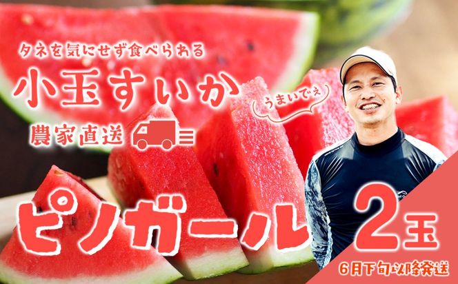 y錧㒬zy s\ 2026N6{ȍ~ z㒬Y ʃXCJ smK[ 1i2ʓj ^l  [SF005ya]