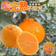 EA6107_【2027年先行予約】【訳あり・ご家庭用】 和歌山県産 完熟 不知火 5kg 甘酸っぱい味わいと芳醇な風味がたまらない高級柑橘 !