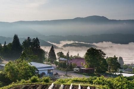 令和６年産　新米予約 【栽培期間中 農薬・化学肥料不使用】ササシグレ(白米)4.5kg真空包装（6-49）