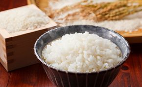 令和7年産 きぬむすめ 精白米 5kg 白米 お米 岡山