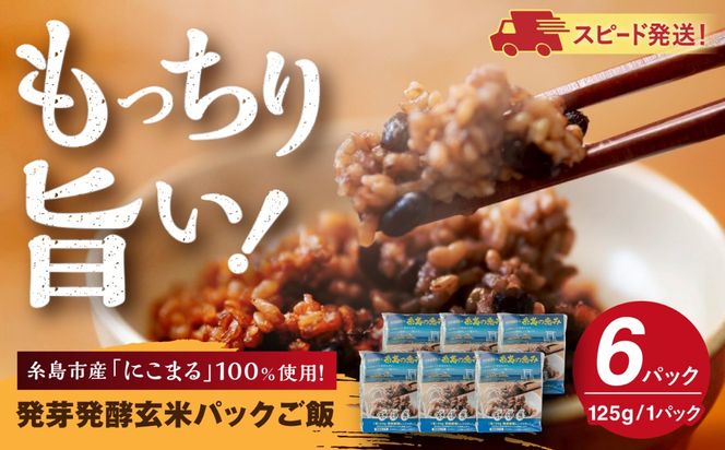 発芽発酵玄米パックご飯 125g×6パック 糸島市産 糸島市 / 糸島の恵み ごはん 米[AGR005]