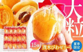【2026年5月上旬〜発送】【夏季限定】茂木びわ ゼリー 15個入 / びわ ビワ ゼリー フルーツ 果物 ギフト 贈答 お中元 / 南島原市 / 本田屋かすてら本舗 [SAW041]