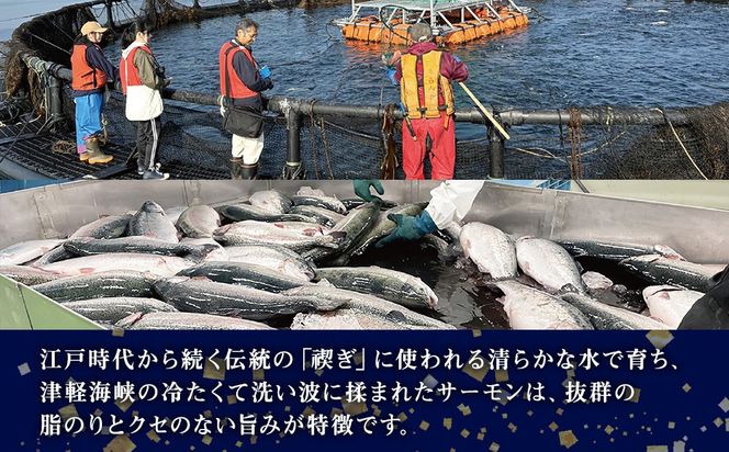 【三印　三浦水産株式会社】木古内町産サーモンフィーレ　半身 800ｇ～950ｇサイズ