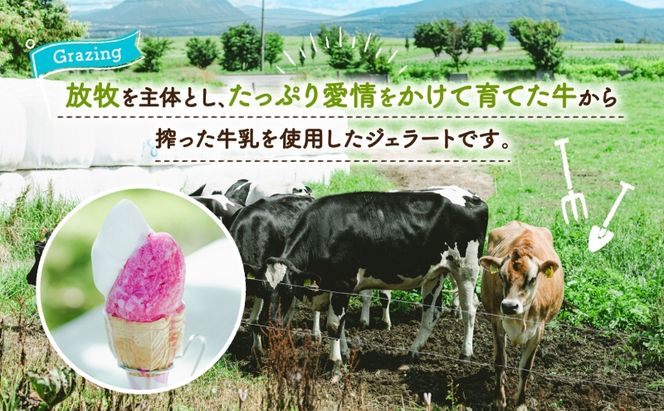 無地熨斗 北海道 まきばのジェラート 2種 各3個 計6個 ホワイトクリーム しそシャーベット デザート ギフト 氷菓 お取り寄せ 牧場 牛乳 ミルク 赤しそ しそ スイーツ レークヒルファーム 熨斗 のし 名入れ不可 送料無料 洞爺湖湖 