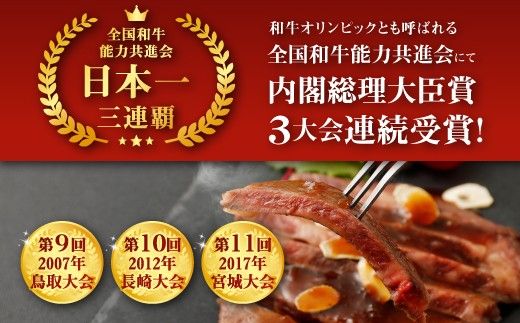 宮崎牛 切り落とし 牛肉 ロースステーキ 3枚セット 約200g×3枚 約600g 牛肉 お肉 ステーキ BBQ バーベキュー 贈り物 ギフト 贈答品 日本一