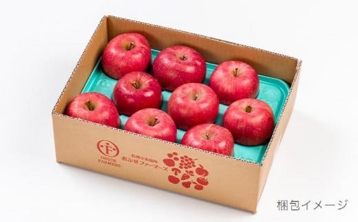 【訳あり】 サンふじ 約3kg 6～12玉［おぶせファーマーズ］ 不揃い 規格外 家庭用 りんご 林檎 リンゴ 果物 フルーツ ふじ 長野 信州 数量限定 【2024年11月中旬～2025年5月上旬発送】［FH-51］