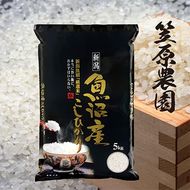 令和7年産　魚沼産コシヒカリ 5kg | 米 コメこしひかり 精米 ブランド米 お取り寄せ 十日町市