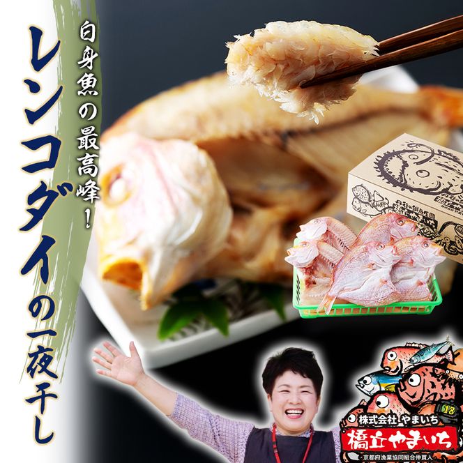 丹後のお魚屋さん一押しの絶品レンコダイの一夜干し 海鮮 おつまみ 干物 美味しい ご飯のお供 魚貝類 加工食品  myz02 myz11 myz17