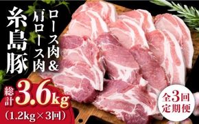 【全3回定期便】糸島豚ロース肉6枚 肩ロースカツ5枚 合計11枚セット《糸島》【糸島ミートデリ工房】 [ACA229] 国産 糸島 豚肉 豚 ロース 肩ロース トンカツ トンテキ